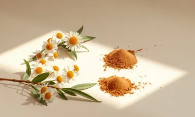 Qual a Melhor Tinta de Cabelo para Gestante? Guia Completo